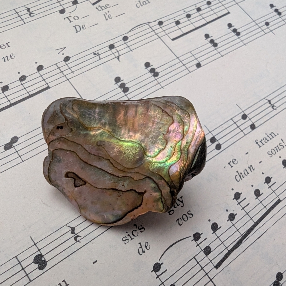 Iridescent Abalone Shell Brooch - Picture 7 of 11